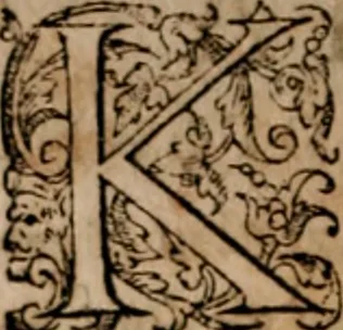 An illustration from Imperii Graeci historia ab anno MCXVII in quo Zonaras definit, usque ad annum MCCIII, libris XIX descripta:, 1593, leaf 263