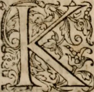 An illustration from Imperii Graeci historia ab anno MCXVII in quo Zonaras definit, usque ad annum MCCIII, libris XIX descripta:, 1593, leaf 316