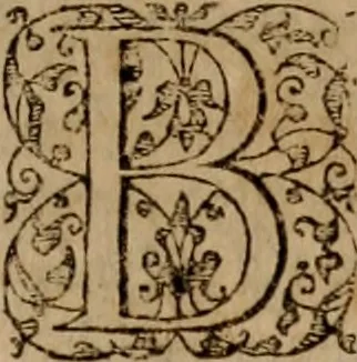 An illustration from Imperii Graeci historia ab anno MCXVII in quo Zonaras definit, usque ad annum MCCIII, libris XIX descripta:, 1593, leaf 444