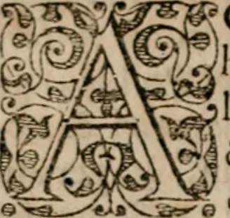 An illustration from Imperii Graeci historia ab anno MCXVII in quo Zonaras definit, usque ad annum MCCIII, libris XIX descripta:, 1593, leaf 509