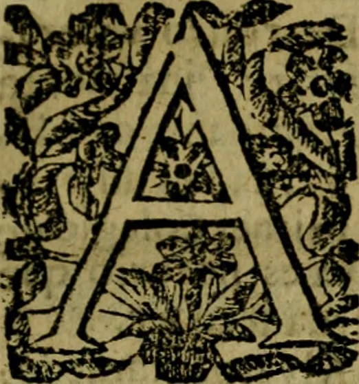 An illustration from Imperio de la China, i cultura evangelica en èl, por los religios de la Compañia de Iesus, 1642, leaf 18
