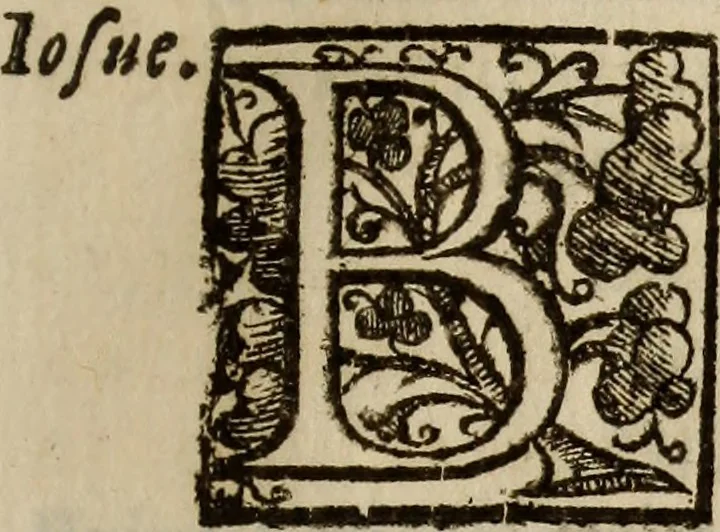 An illustration from Impii per ivstvm in Iosve Iericho demoliente;, 1693, leaf 8