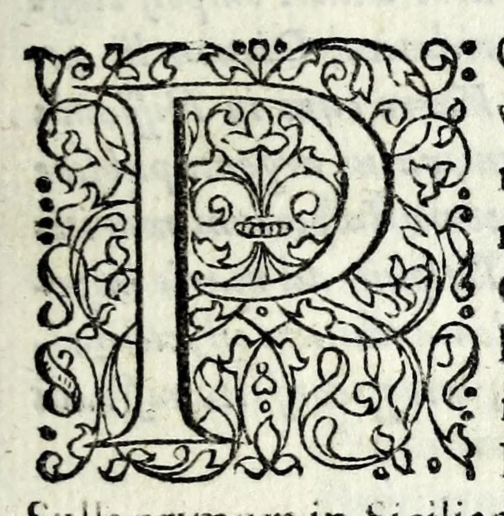 An illustration from Impp. romanorum numismata a Pompeio Magno ad Heraclium editio altera : multis nummorum millibus aucta, 1601, leaf 17