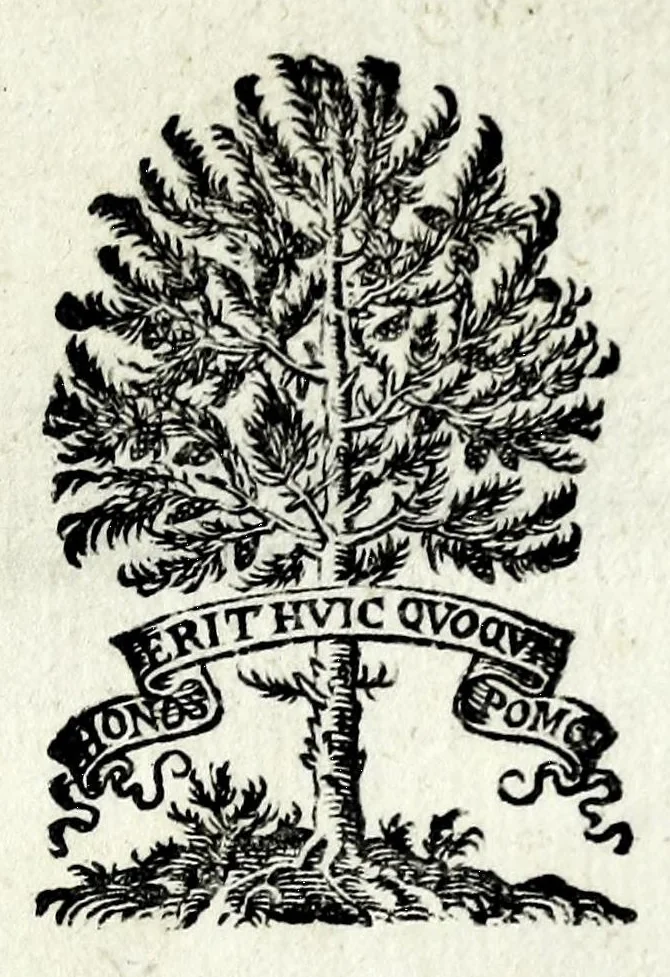 An illustration from Impp. romanorum numismata a Pompeio Magno ad Heraclium editio altera : multis nummorum millibus aucta, 1601, leaf 615