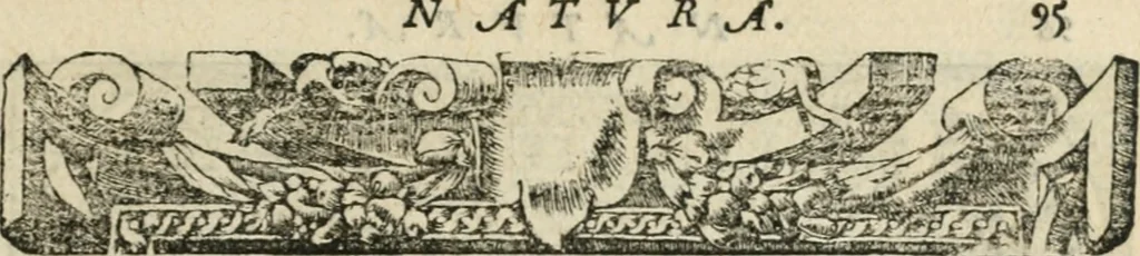 An illustration from Diverse imprese accommodate a diuerse moralità : con versi che i loro significati dichiarano insieme con molte altre nella lingua italiana non piu tradotte, 1551, leaf 100