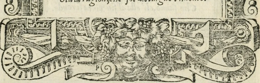 An illustration from Diverse imprese accommodate a diuerse moralità : con versi che i loro significati dichiarano insieme con molte altre nella lingua italiana non piu tradotte, 1551, leaf 100