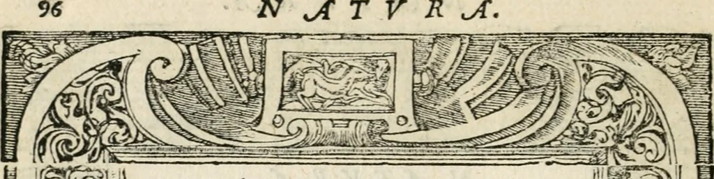 An illustration from Diverse imprese accommodate a diuerse moralità : con versi che i loro significati dichiarano insieme con molte altre nella lingua italiana non piu tradotte, 1551, leaf 101