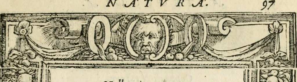 An illustration from Diverse imprese accommodate a diuerse moralità : con versi che i loro significati dichiarano insieme con molte altre nella lingua italiana non piu tradotte, 1551, leaf 102
