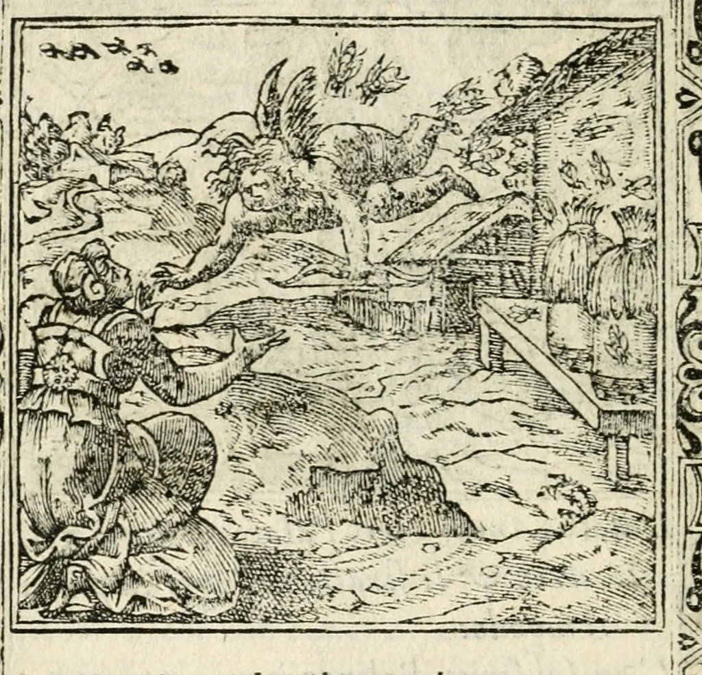 An illustration from Diverse imprese accommodate a diuerse moralità : con versi che i loro significati dichiarano insieme con molte altre nella lingua italiana non piu tradotte, 1551, leaf 113