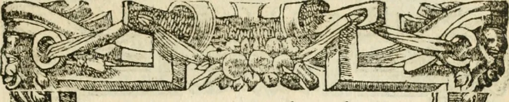 An illustration from Diverse imprese accommodate a diuerse moralità : con versi che i loro significati dichiarano insieme con molte altre nella lingua italiana non piu tradotte, 1551, leaf 116