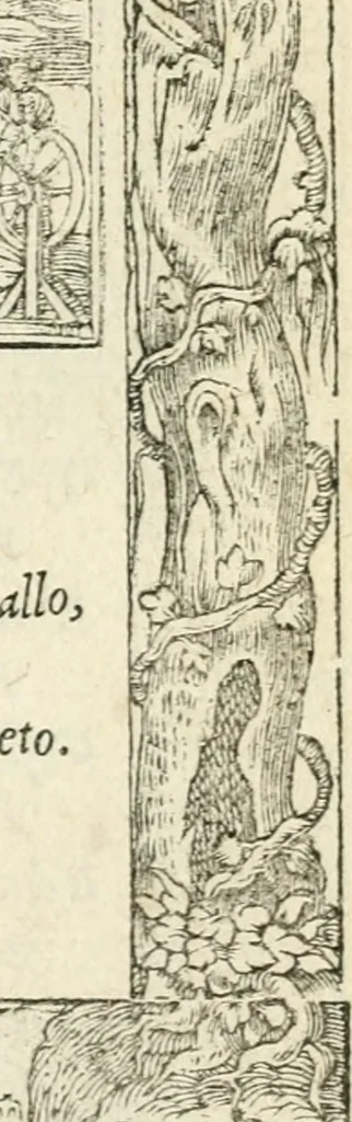 An illustration from Diverse imprese accommodate a diuerse moralità : con versi che i loro significati dichiarano insieme con molte altre nella lingua italiana non piu tradotte, 1551, leaf 120