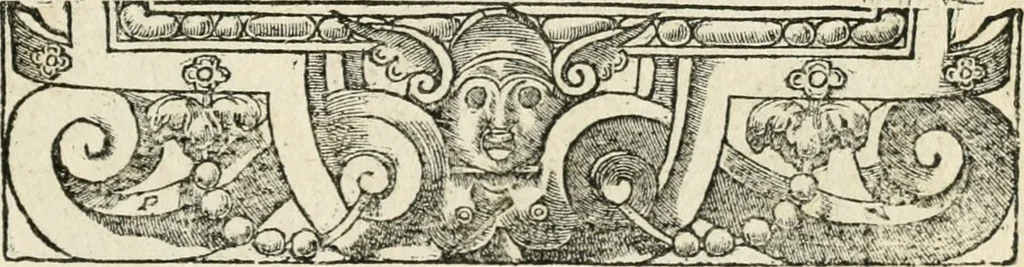 An illustration from Diverse imprese accommodate a diuerse moralità : con versi che i loro significati dichiarano insieme con molte altre nella lingua italiana non piu tradotte, 1551, leaf 128