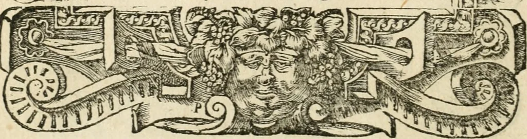 An illustration from Diverse imprese accommodate a diuerse moralità : con versi che i loro significati dichiarano insieme con molte altre nella lingua italiana non piu tradotte, 1551, leaf 13