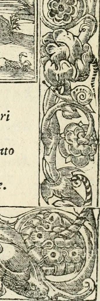 An illustration from Diverse imprese accommodate a diuerse moralità : con versi che i loro significati dichiarano insieme con molte altre nella lingua italiana non piu tradotte, 1551, leaf 131