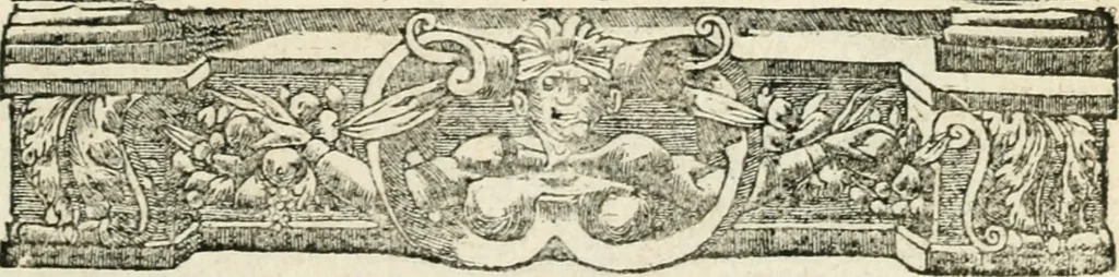 An illustration from Diverse imprese accommodate a diuerse moralità : con versi che i loro significati dichiarano insieme con molte altre nella lingua italiana non piu tradotte, 1551, leaf 132