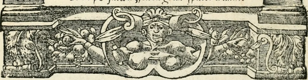 An illustration from Diverse imprese accommodate a diuerse moralità : con versi che i loro significati dichiarano insieme con molte altre nella lingua italiana non piu tradotte, 1551, leaf 133