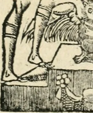 An illustration from Diverse imprese accommodate a diuerse moralità : con versi che i loro significati dichiarano insieme con molte altre nella lingua italiana non piu tradotte, 1551, leaf 135