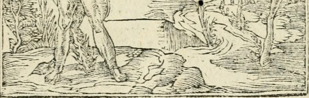 An illustration from Diverse imprese accommodate a diuerse moralità : con versi che i loro significati dichiarano insieme con molte altre nella lingua italiana non piu tradotte, 1551, leaf 140