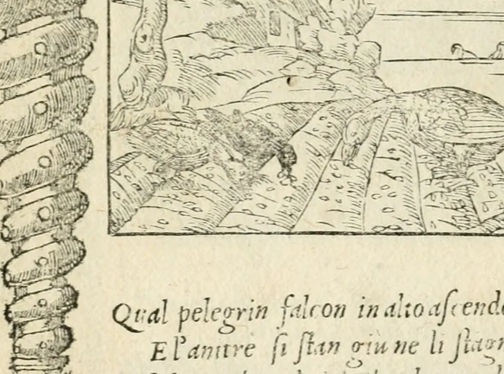An illustration from Diverse imprese accommodate a diuerse moralità : con versi che i loro significati dichiarano insieme con molte altre nella lingua italiana non piu tradotte, 1551, leaf 141