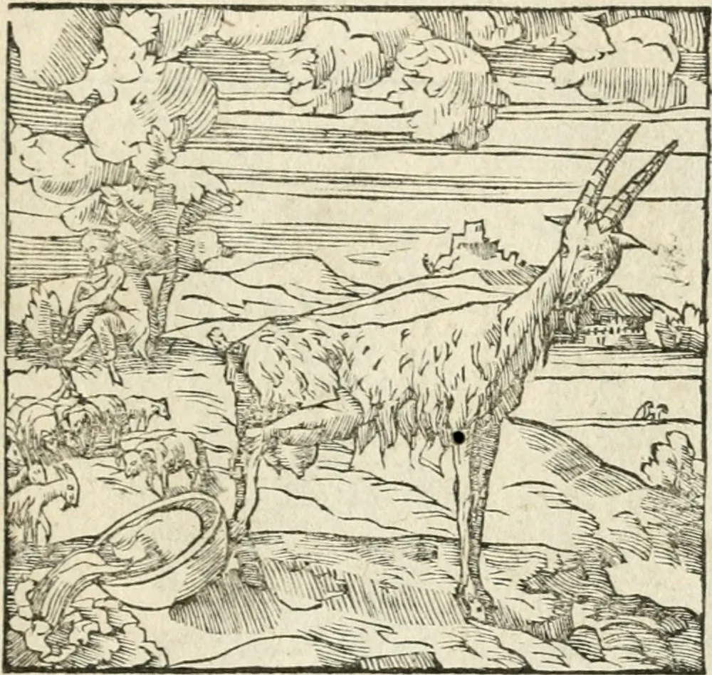 An illustration from Diverse imprese accommodate a diuerse moralità : con versi che i loro significati dichiarano insieme con molte altre nella lingua italiana non piu tradotte, 1551, leaf 142