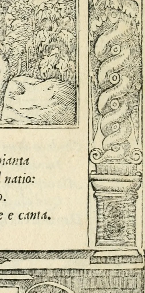 An illustration from Diverse imprese accommodate a diuerse moralità : con versi che i loro significati dichiarano insieme con molte altre nella lingua italiana non piu tradotte, 1551, leaf 143