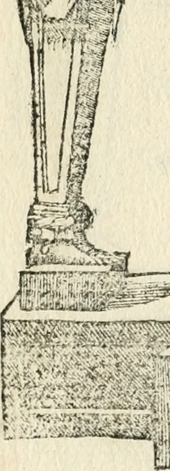 An illustration from Diverse imprese accommodate a diuerse moralità : con versi che i loro significati dichiarano insieme con molte altre nella lingua italiana non piu tradotte, 1551, leaf 145