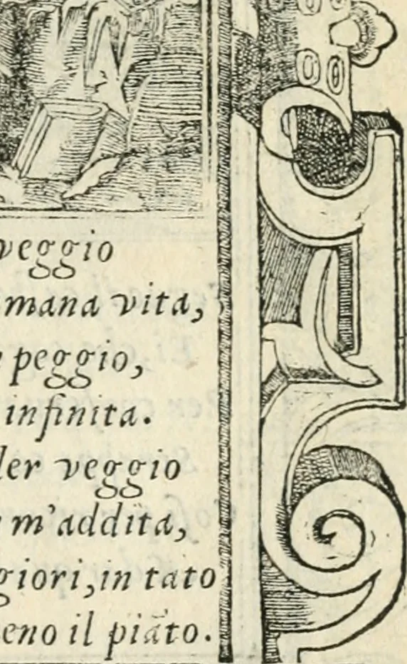 An illustration from Diverse imprese accommodate a diuerse moralità : con versi che i loro significati dichiarano insieme con molte altre nella lingua italiana non piu tradotte, 1551, leaf 150