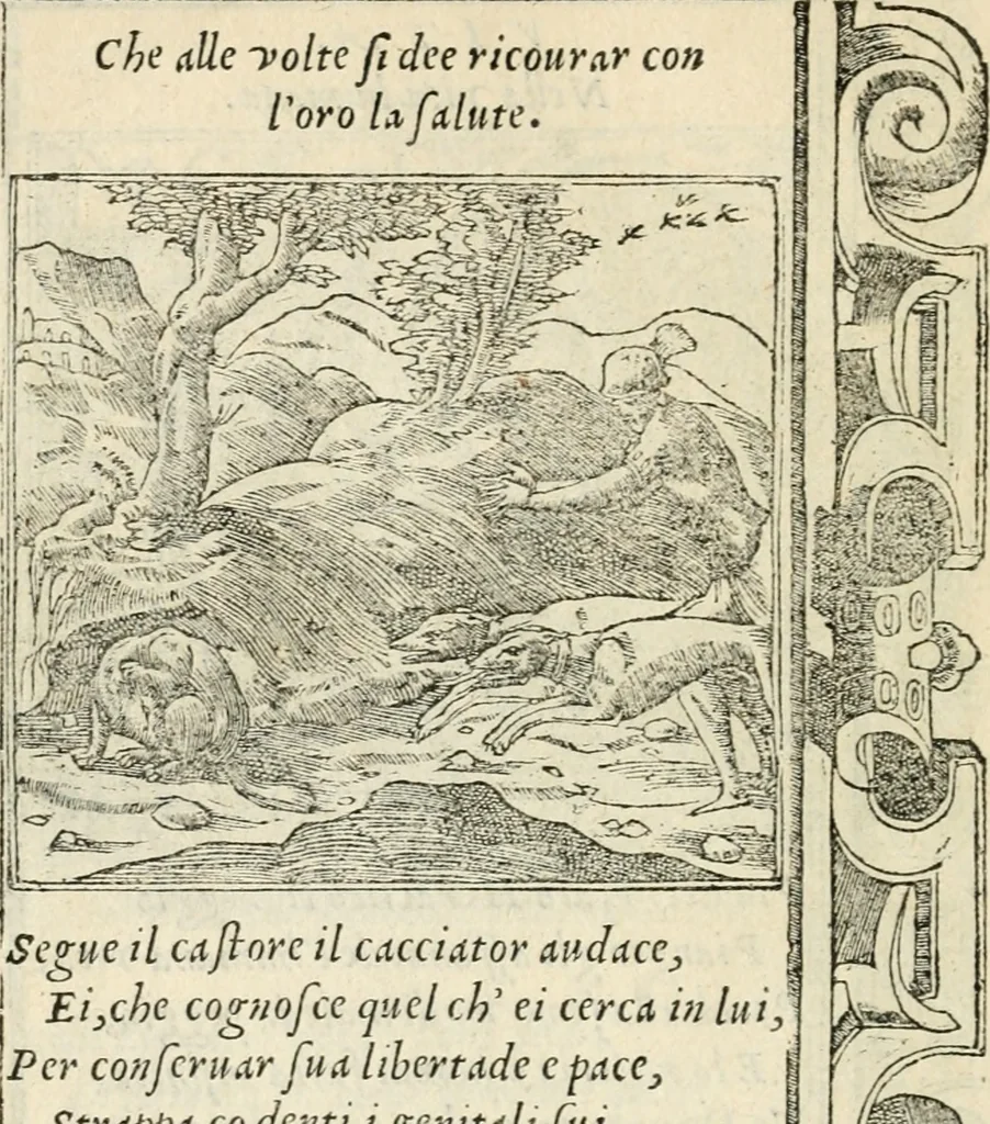 An illustration from Diverse imprese accommodate a diuerse moralità : con versi che i loro significati dichiarano insieme con molte altre nella lingua italiana non piu tradotte, 1551, leaf 151