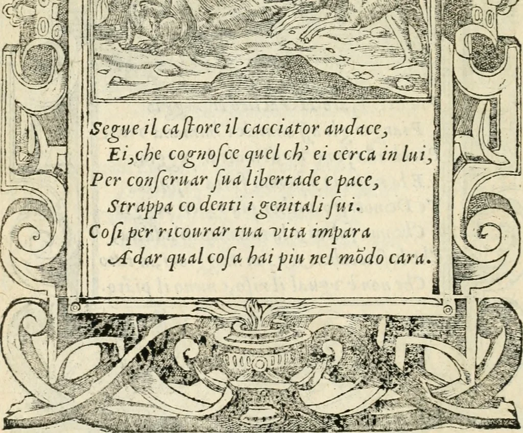 An illustration from Diverse imprese accommodate a diuerse moralità : con versi che i loro significati dichiarano insieme con molte altre nella lingua italiana non piu tradotte, 1551, leaf 151