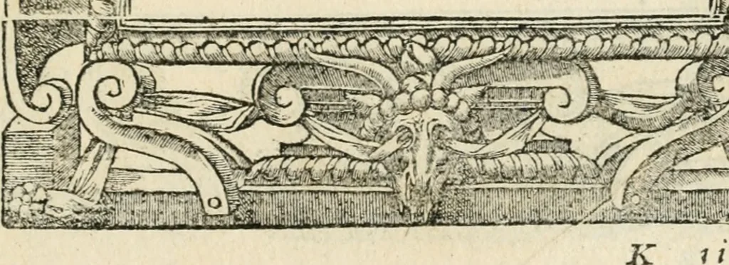 An illustration from Diverse imprese accommodate a diuerse moralità : con versi che i loro significati dichiarano insieme con molte altre nella lingua italiana non piu tradotte, 1551, leaf 156