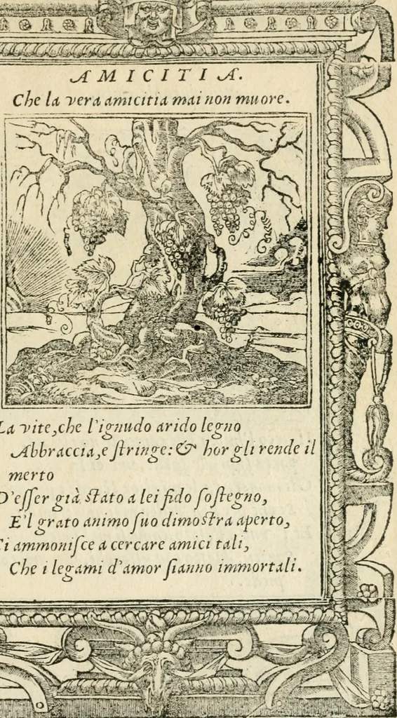 An illustration from Diverse imprese accommodate a diuerse moralità : con versi che i loro significati dichiarano insieme con molte altre nella lingua italiana non piu tradotte, 1551, leaf 156