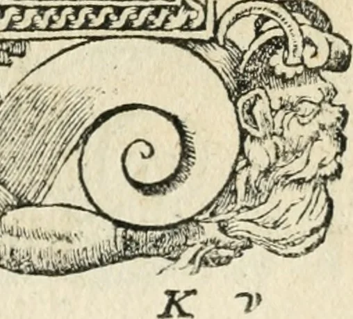 An illustration from Diverse imprese accommodate a diuerse moralità : con versi che i loro significati dichiarano insieme con molte altre nella lingua italiana non piu tradotte, 1551, leaf 158