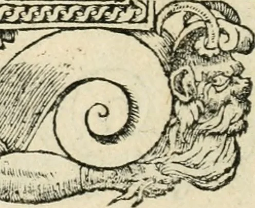 An illustration from Diverse imprese accommodate a diuerse moralità : con versi che i loro significati dichiarano insieme con molte altre nella lingua italiana non piu tradotte, 1551, leaf 159
