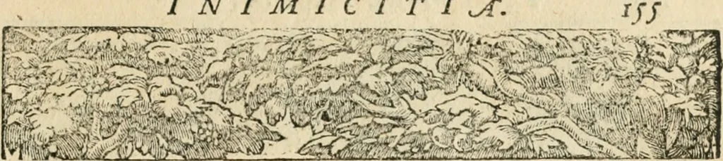 An illustration from Diverse imprese accommodate a diuerse moralità : con versi che i loro significati dichiarano insieme con molte altre nella lingua italiana non piu tradotte, 1551, leaf 160