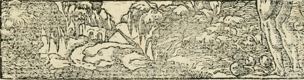 An illustration from Diverse imprese accommodate a diuerse moralità : con versi che i loro significati dichiarano insieme con molte altre nella lingua italiana non piu tradotte, 1551, leaf 160