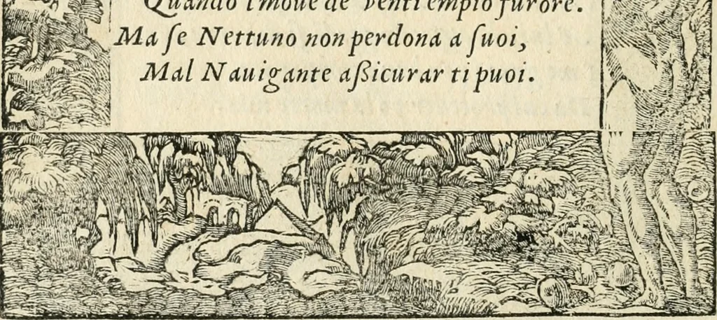 An illustration from Diverse imprese accommodate a diuerse moralità : con versi che i loro significati dichiarano insieme con molte altre nella lingua italiana non piu tradotte, 1551, leaf 161