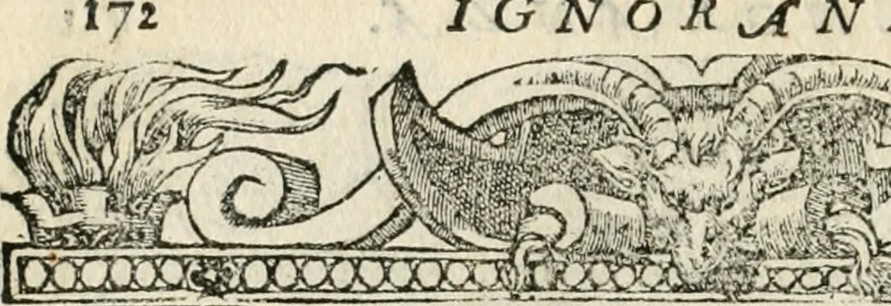 An illustration from Diverse imprese accommodate a diuerse moralità : con versi che i loro significati dichiarano insieme con molte altre nella lingua italiana non piu tradotte, 1551, leaf 177