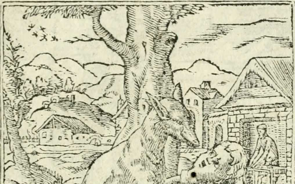 An illustration from Diverse imprese accommodate a diuerse moralità : con versi che i loro significati dichiarano insieme con molte altre nella lingua italiana non piu tradotte, 1551, leaf 178