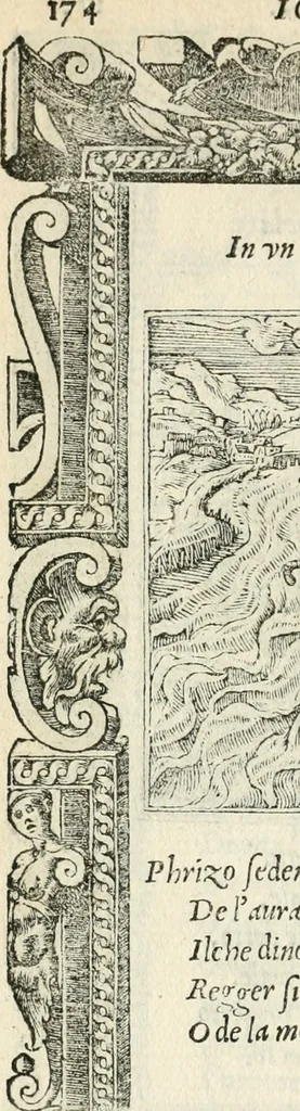 An illustration from Diverse imprese accommodate a diuerse moralità : con versi che i loro significati dichiarano insieme con molte altre nella lingua italiana non piu tradotte, 1551, leaf 179