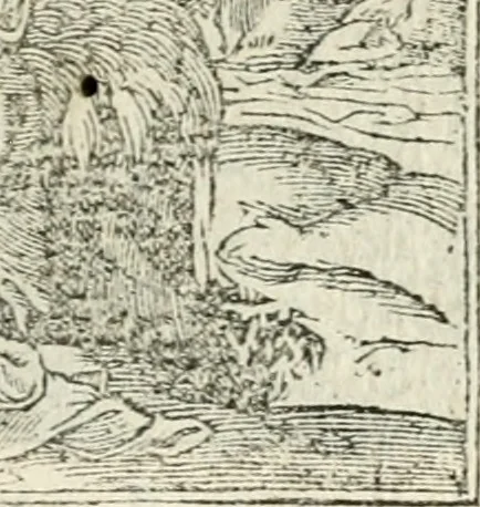 An illustration from Diverse imprese accommodate a diuerse moralità : con versi che i loro significati dichiarano insieme con molte altre nella lingua italiana non piu tradotte, 1551, leaf 180