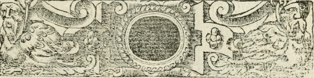 An illustration from Diverse imprese accommodate a diuerse moralità : con versi che i loro significati dichiarano insieme con molte altre nella lingua italiana non piu tradotte, 1551, leaf 180