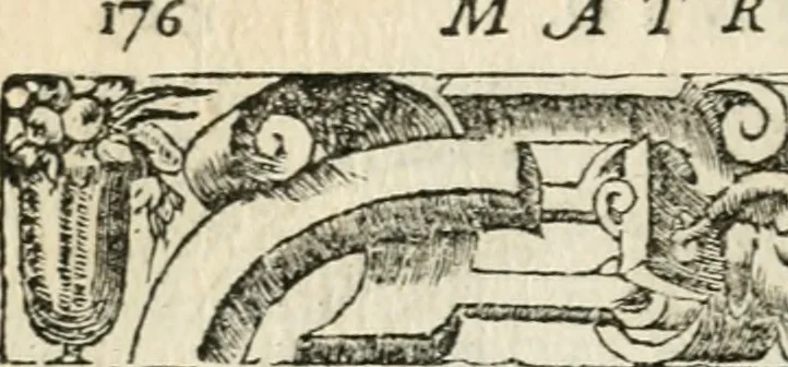 An illustration from Diverse imprese accommodate a diuerse moralità : con versi che i loro significati dichiarano insieme con molte altre nella lingua italiana non piu tradotte, 1551, leaf 181