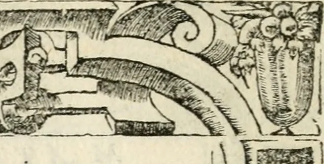 An illustration from Diverse imprese accommodate a diuerse moralità : con versi che i loro significati dichiarano insieme con molte altre nella lingua italiana non piu tradotte, 1551, leaf 181