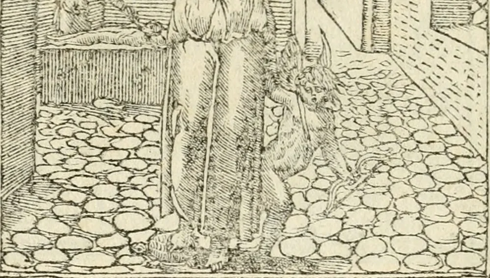 An illustration from Diverse imprese accommodate a diuerse moralità : con versi che i loro significati dichiarano insieme con molte altre nella lingua italiana non piu tradotte, 1551, leaf 185