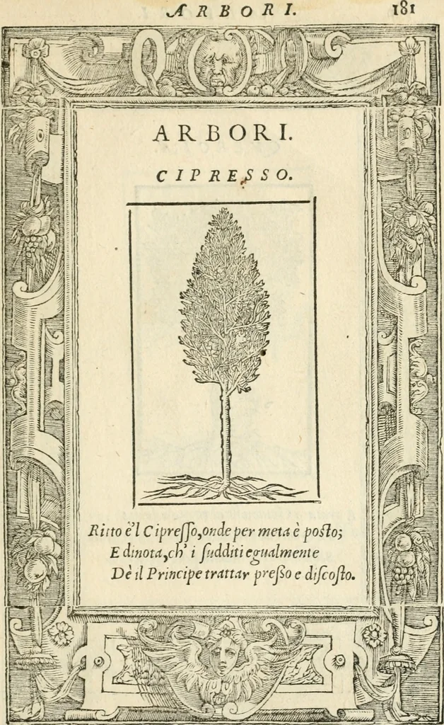 An illustration from Diverse imprese accommodate a diuerse moralità : con versi che i loro significati dichiarano insieme con molte altre nella lingua italiana non piu tradotte, 1551, leaf 186