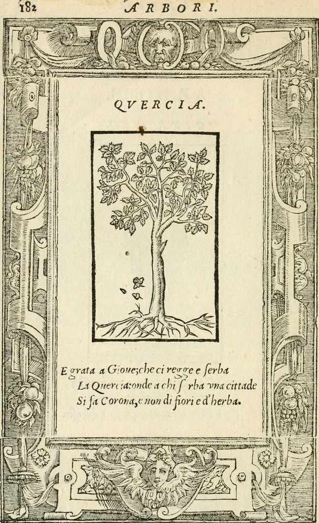 An illustration from Diverse imprese accommodate a diuerse moralità : con versi che i loro significati dichiarano insieme con molte altre nella lingua italiana non piu tradotte, 1551, leaf 187
