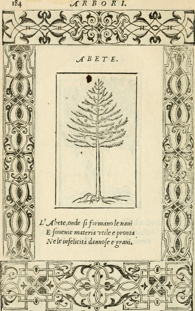 An illustration from Diverse imprese accommodate a diuerse moralità : con versi che i loro significati dichiarano insieme con molte altre nella lingua italiana non piu tradotte, 1551, leaf 189
