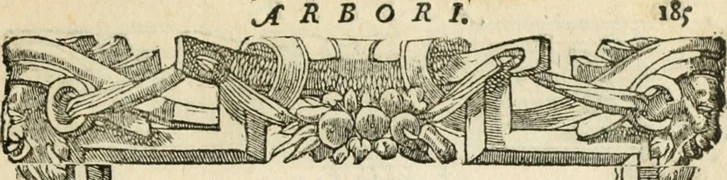 An illustration from Diverse imprese accommodate a diuerse moralità : con versi che i loro significati dichiarano insieme con molte altre nella lingua italiana non piu tradotte, 1551, leaf 190