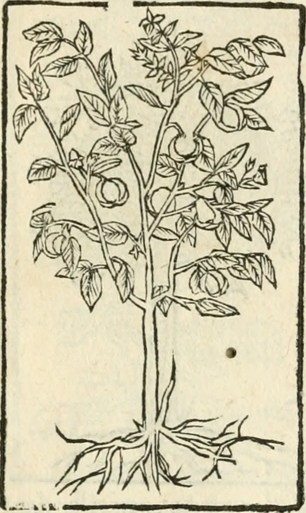 An illustration from Diverse imprese accommodate a diuerse moralità : con versi che i loro significati dichiarano insieme con molte altre nella lingua italiana non piu tradotte, 1551, leaf 190