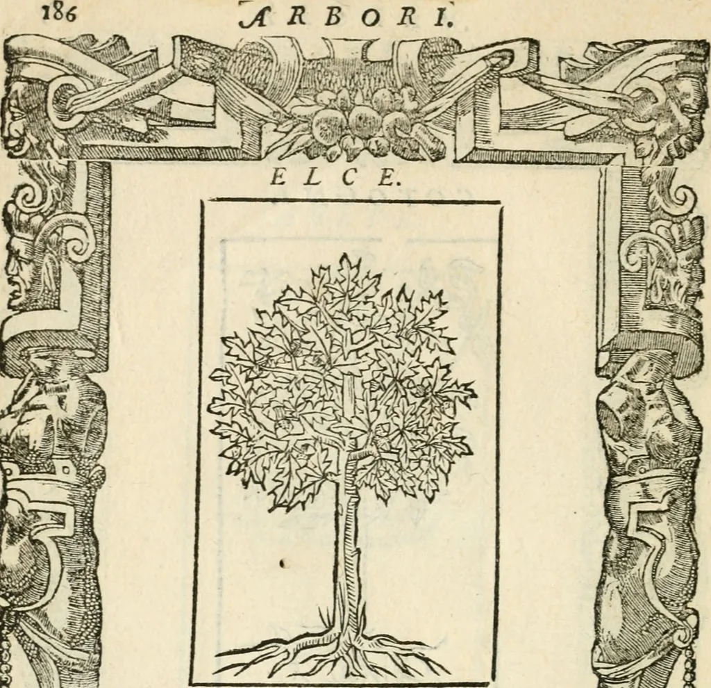 An illustration from Diverse imprese accommodate a diuerse moralità : con versi che i loro significati dichiarano insieme con molte altre nella lingua italiana non piu tradotte, 1551, leaf 191